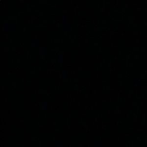 Meet your Posher, Bailey